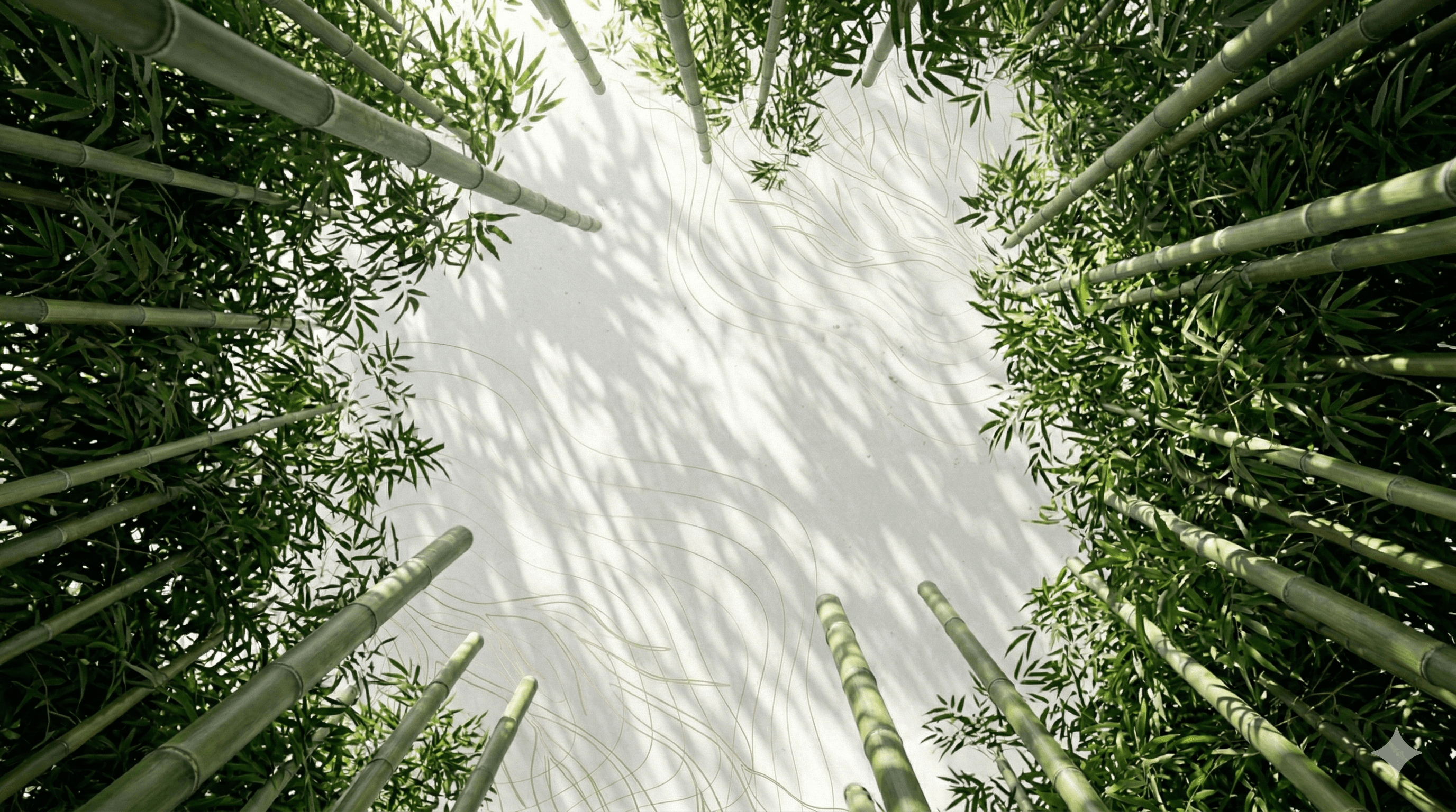 Core Fields Background